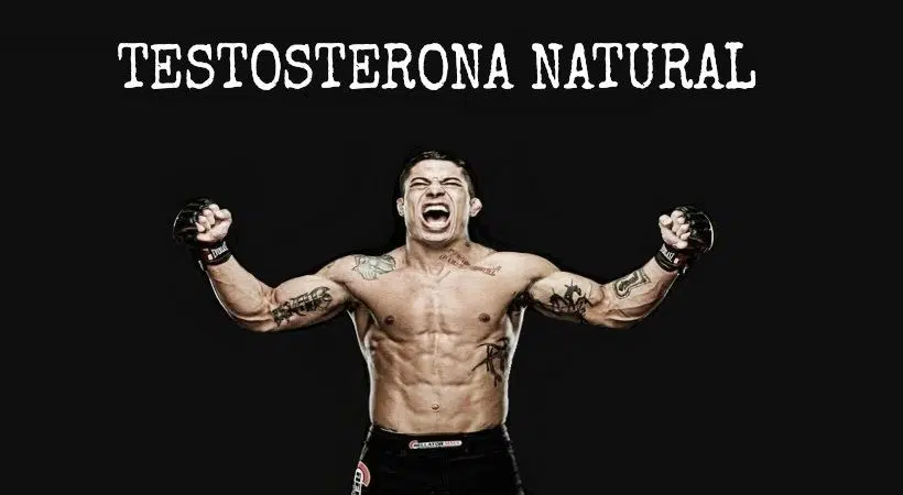 testosterona