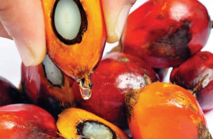Aceite de palma: ¿es saludable? Todo lo que necesitas saber y no te han contado