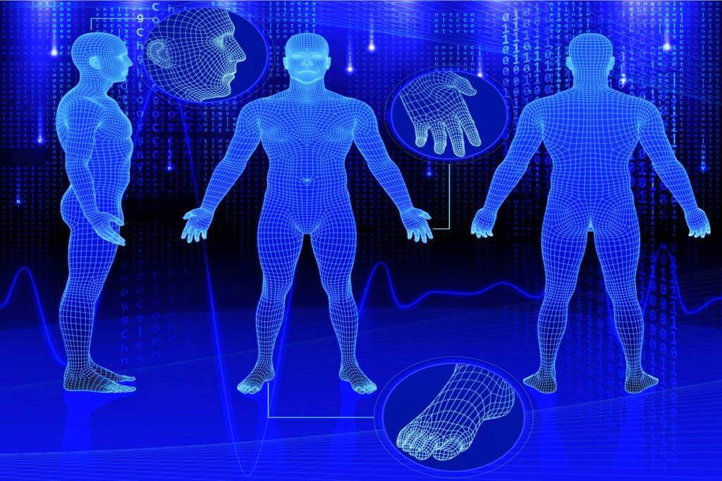 Somatotipos – ¿Qué tipo de cuerpo eres?