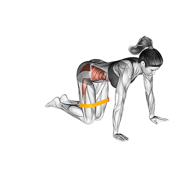 Patadas Laterales / Dirty dog 2 Patadas laterales / Dirty Dog con Banda