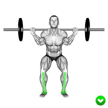 Sentadillas con las piernas con barra Error