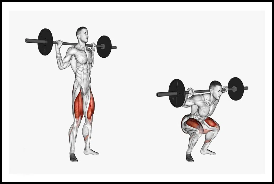 Ejercicio de sentadilla con barra - Explicación paso a paso