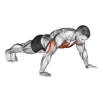 Flexiones de brazos en el suelo 7 Flexiones anchas