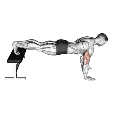 Flexiones de brazos en el suelo 6 Flexiones negativas para la parte superior del pecho