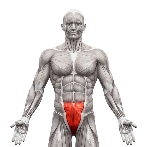 Abdominales de la parte baja