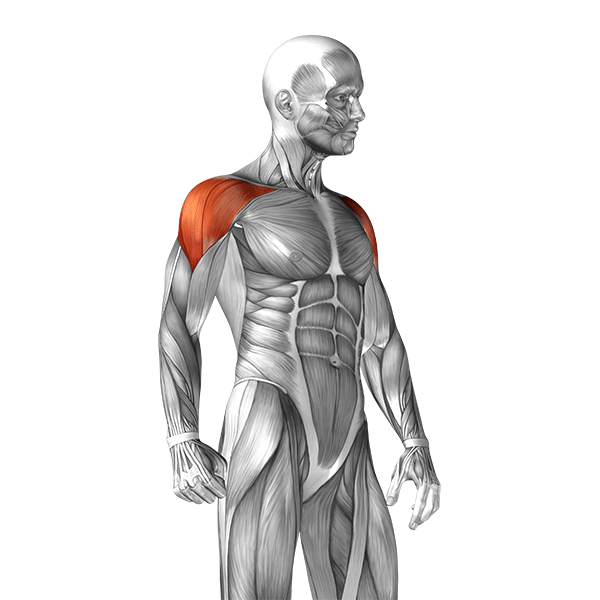 Ejercicios de hombros para la parte lateral del hombro