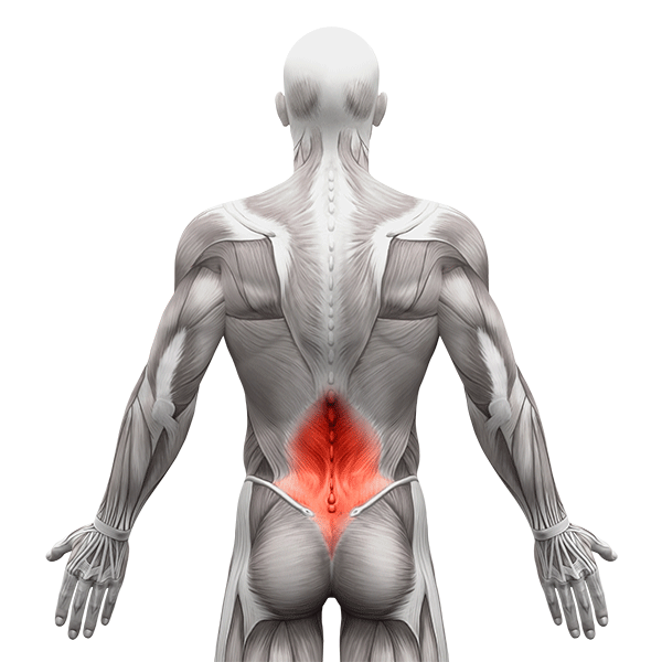 Ejercicios para la parte inferior de la espalda 