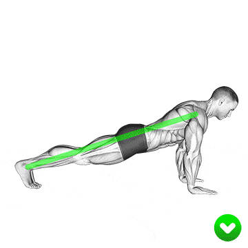 Flexiones de brazos en el suelo 3 Se debe evitar una joroba y la flacidez en las flexiones.