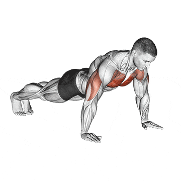Flexiones de brazos en el suelo 1 Forma clásica de hacer flexiones