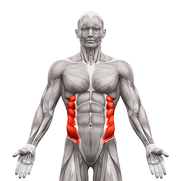 Ejercicios para entrenar los oblicuos. Fortalezca sus músculos abdominales laterales con ejercicios efectivos.