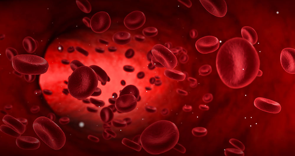 Los aminoácidos como el colágeno, la elastina, la queratina, la mioglobina, la albúmina o la hemoglobina tienen diferentes funciones en el cuerpo humano. 