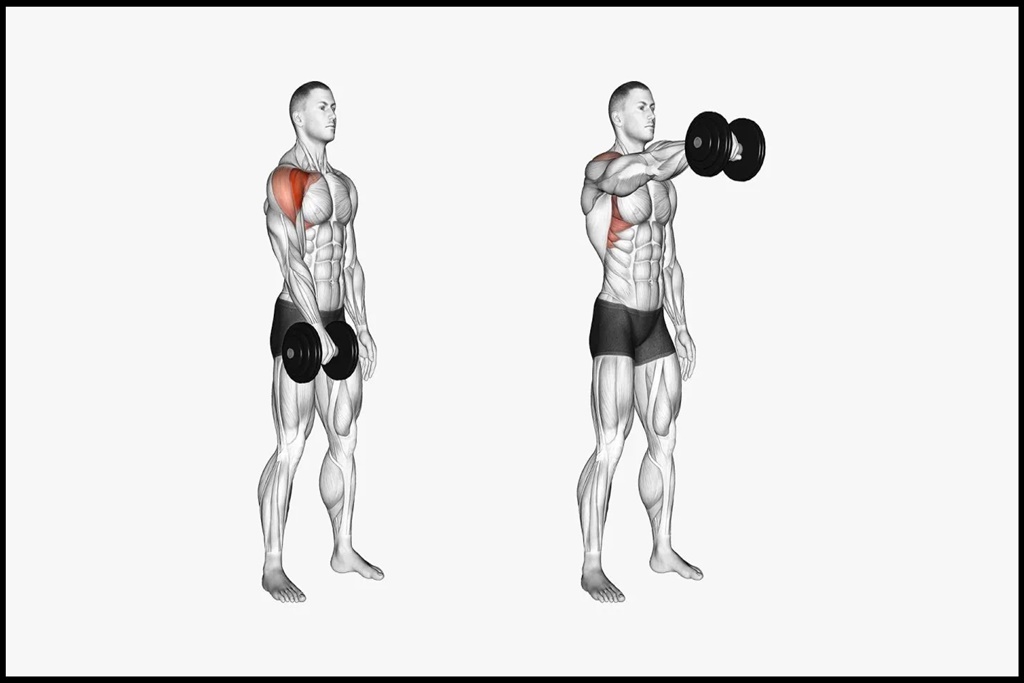Elevaciones frontales con mancuernas 4 elevaciones frontales con mancuernas a un brazo