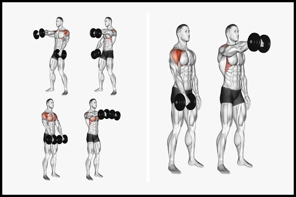Ejercicio hombro frontal elevaciones frontales