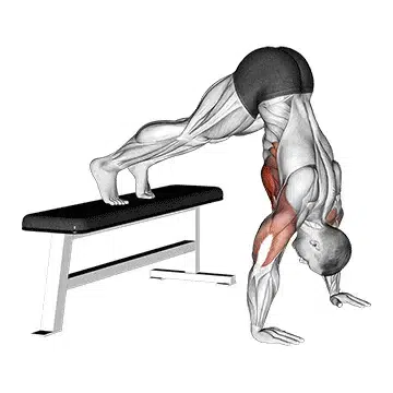 Flexiones en pica: Técnica del ejercicio y variantes 1 flexiones en pica más sencilla y adecuada para principiantes.