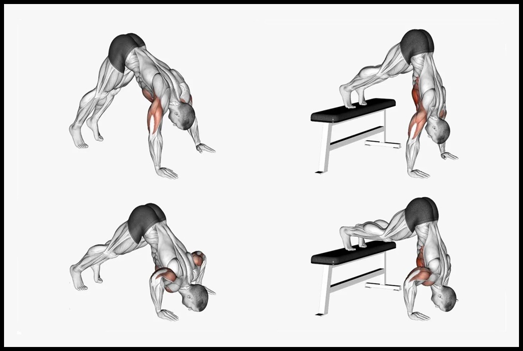 Variantes de flexiones en pica