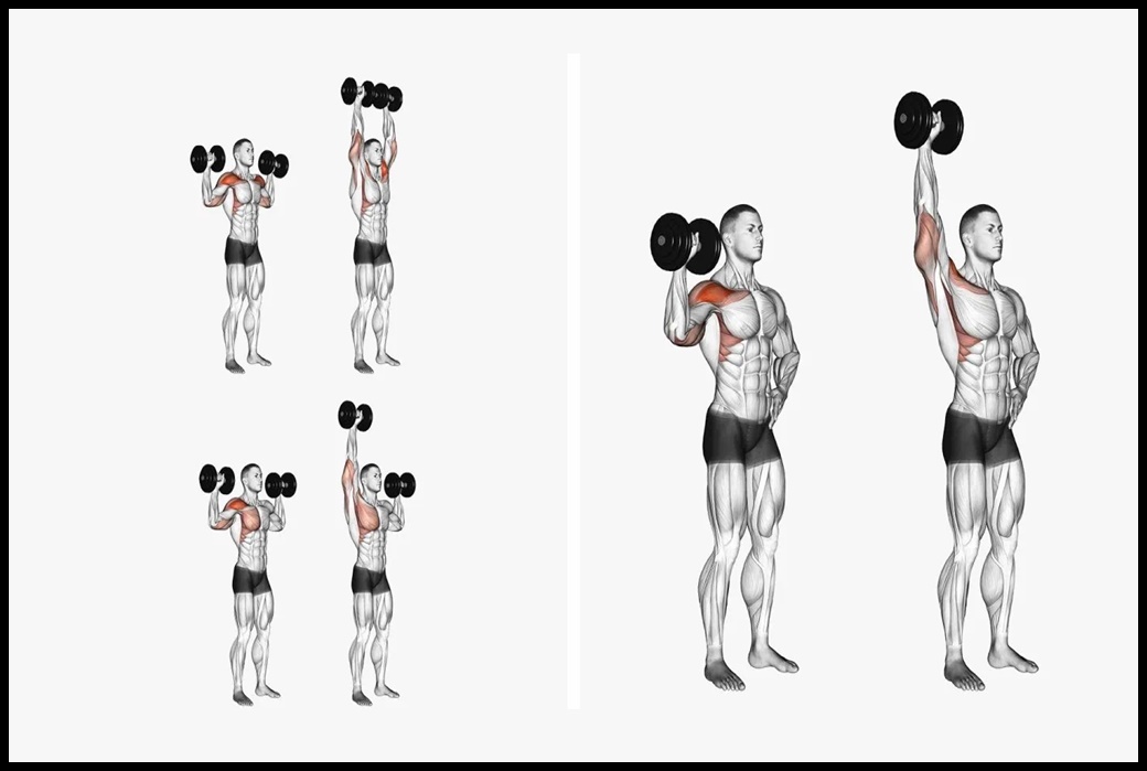 Press de hombros de pie con mancuernas