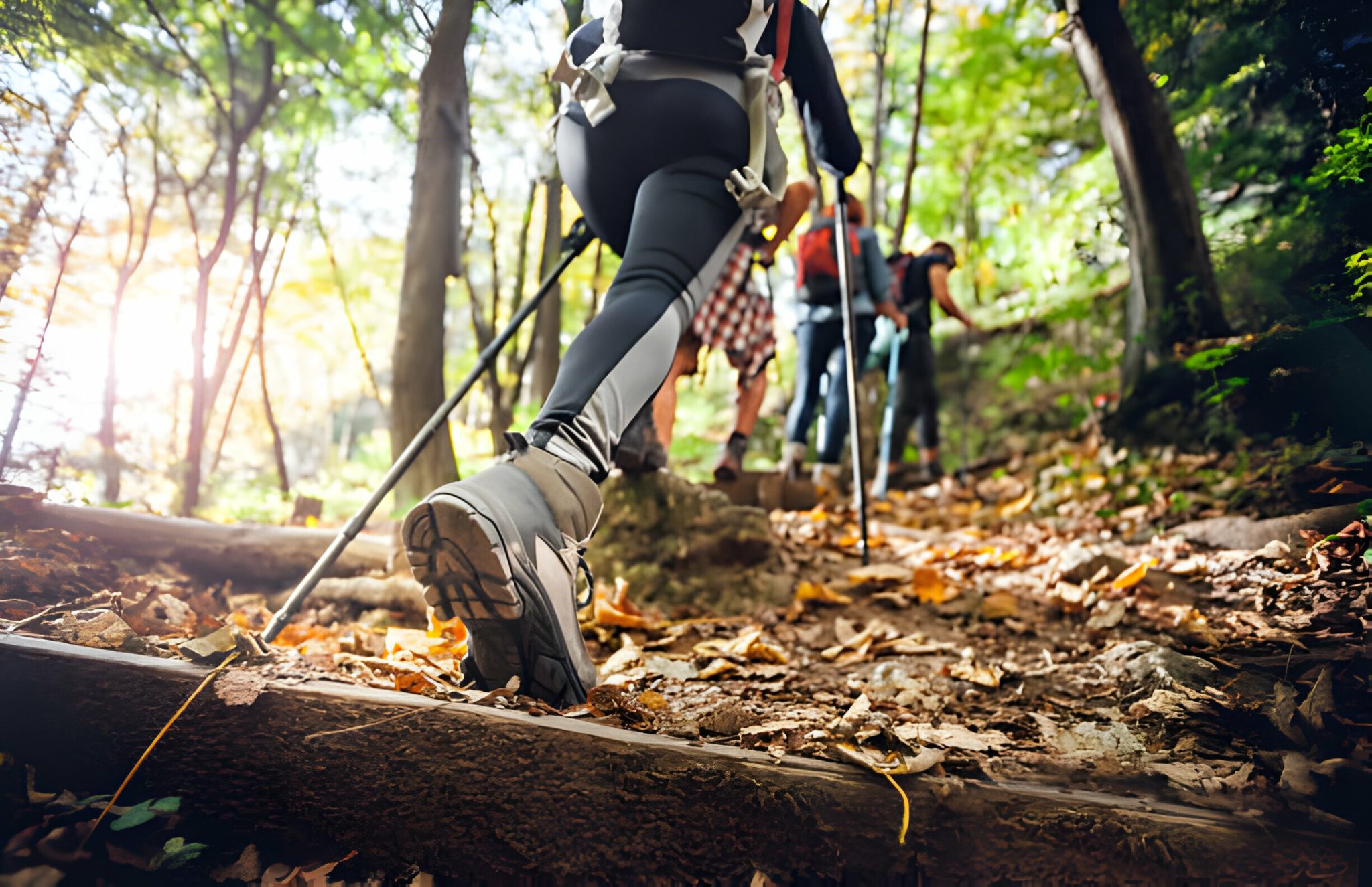 Cardio vs Fuerza para Perder Grasa: Qué Dice la Ciencia y Cómo Combinarlos 1 El entrenamiento de resistencia aeróbica es muy variado: senderismo, ciclismo, natación, running.