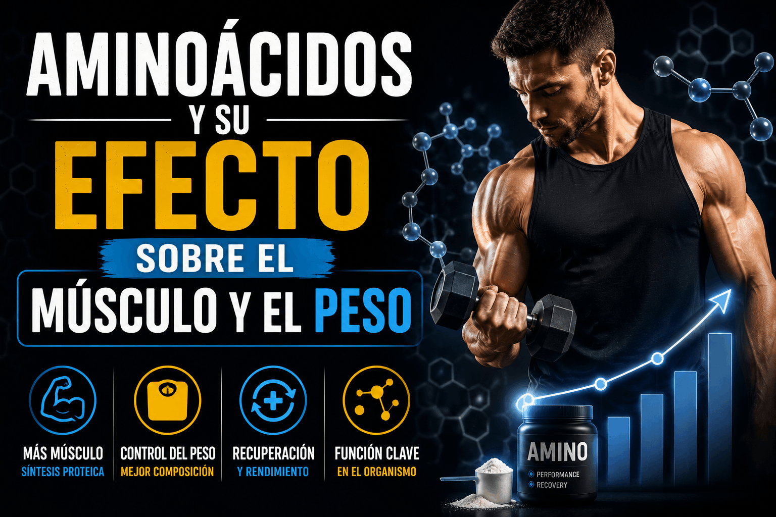 Los aminoácidos son los ladrillos con los que el cuerpo construye todo el tejido proteico: músculo, tejido conectivo, enzimas, hormonas, cabello y piel. Sin ellos, la síntesis proteica se detiene